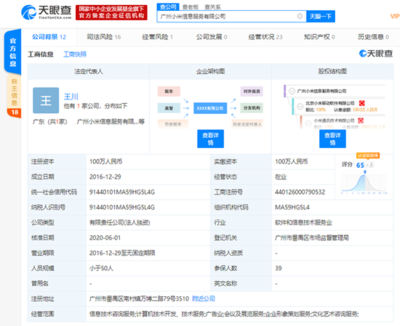 洪鋒卸任廣州小米信息服務(wù)法人等職位，信息技術(shù)咨詢服務(wù)業(yè)務(wù)調(diào)整引關(guān)注